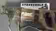 A10193 Porter-cable Used Cord Set With Boot For Pc 747 Entire Picture Not Sale