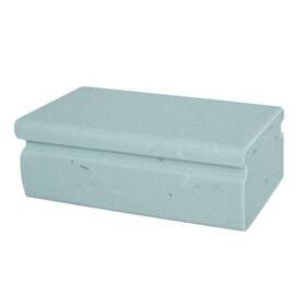 Dambuster 744759550897 Deicer Bricks 6-pack Melt Calcium Chloride Snow Pet Roof Safe New