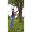 Lpp120parent Black Decker Cordless Electric Tree Trimmer 10 Ft Pole Chain Saw Pruner Lightweight Battery