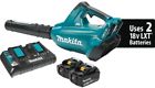 Xbu02pt Makita Cordless Brushless Blower Kit Two Lxt 0088381847537