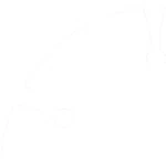 Rockwell RW9228 Saw Blade, 3-3/8 In Dia, 5/8 Arbor. Fixed Price $36.03.