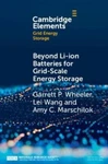 Beyond Li-ion Batteries For Grid-scale Energy Storage, Paperback By Wheeler, .... Fixed Price $28.46.
