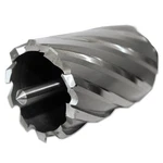 Evolution CC812L 13/16-INCH Diameter X 2-INCH Depth Of Cyclone Cutter. Fixed Price $31.60.