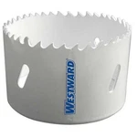 Westward 29VU25 Hole Saw, Bi-metal, 2-1/2 In.. Fixed Price $13.00.