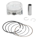 Cast Replica Piston Kit Kawasaki Kfx 700 V-force 2004-2009; 24488. Fixed Price $196.16.
