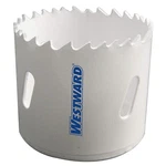 Westward 29VU14 Hole Saw, Bi-metal, 1-5/8 In.. Fixed Price $5.39.