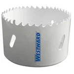 Westward Hole Saw, Bi-metal, 2-1/2 In. 29VU25 190735792490. Fixed Price $20.39.