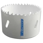 Westward 29VU44 Hole Saw, Bi-metal, 5 In.. Fixed Price $19.49.