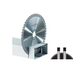 Festool 500651, Flat Tooth Saw Blade 230X2.5X30 F48. Fixed Price $123.29.