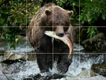 Fishing Grizzly Bear Cub Salmon Wildlife Ceramic Tile Mural Backsplash Medallion. Fixed Price $269.00.