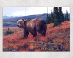 Grizzly Bear Wildlife Nature Woodland Ceramic Tile Mural Backsplash. Fixed Price $59.99.