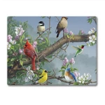 Counterart Beautiful Songbirds 3MM Tempered Glass Cutting Board 10 X 8 Char.... Fixed Price $31.92.