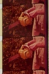 Mcculloch Chain Saw Casual User Commercial 16MM Film Movie On Reel 7-7012. Fixed Price $38.99.
